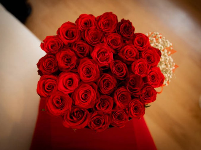 Красные розы как культурный код – почему классический цветок остается универсальным